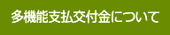 多面的支払交付金について
